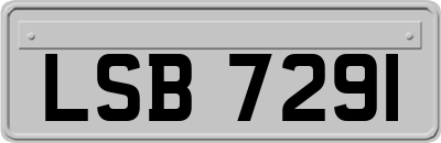 LSB7291