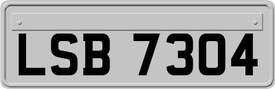 LSB7304