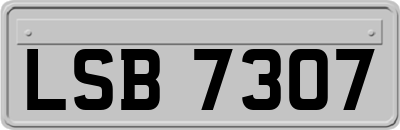 LSB7307
