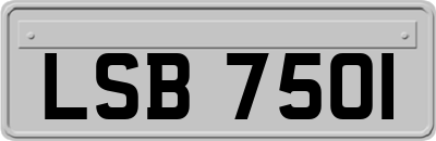 LSB7501