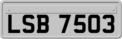 LSB7503