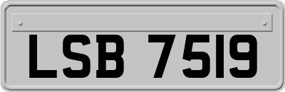 LSB7519