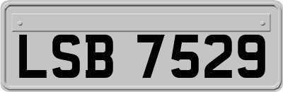 LSB7529