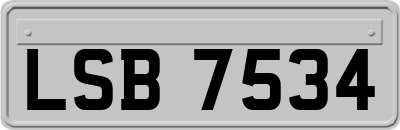 LSB7534