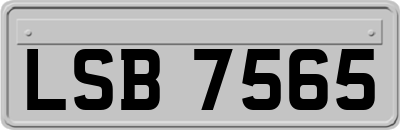 LSB7565