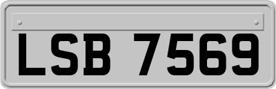 LSB7569
