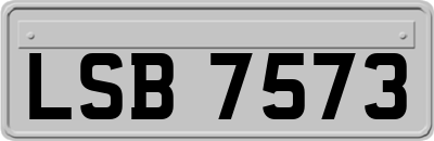 LSB7573