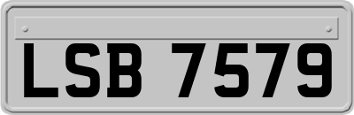 LSB7579