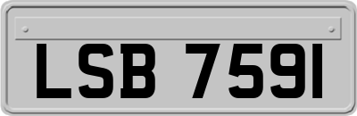 LSB7591