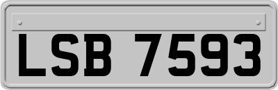 LSB7593