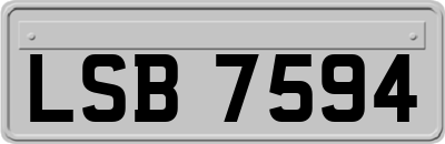 LSB7594