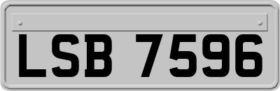 LSB7596