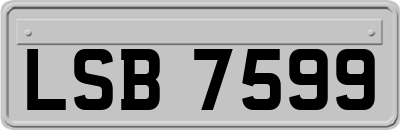 LSB7599