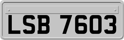 LSB7603
