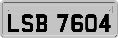 LSB7604