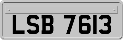 LSB7613