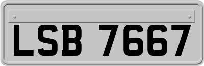 LSB7667