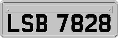 LSB7828