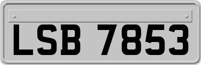 LSB7853