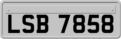 LSB7858
