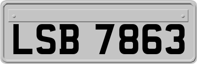 LSB7863
