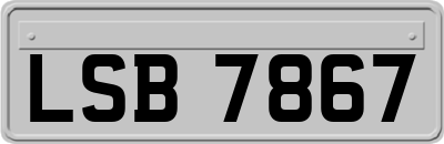 LSB7867
