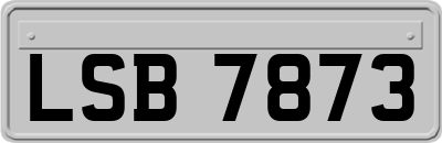 LSB7873