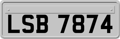 LSB7874