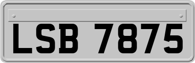 LSB7875