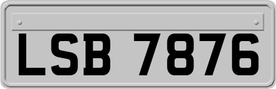 LSB7876