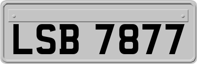 LSB7877