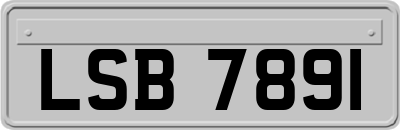 LSB7891