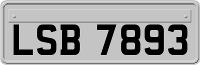 LSB7893