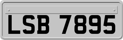 LSB7895