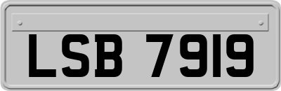 LSB7919