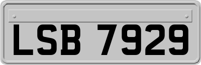 LSB7929