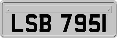 LSB7951