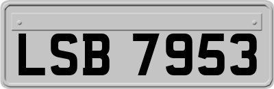 LSB7953