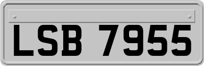 LSB7955