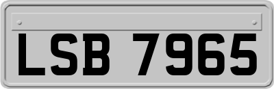 LSB7965