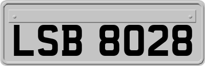 LSB8028