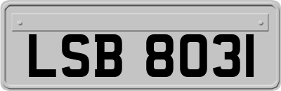 LSB8031