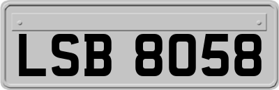 LSB8058