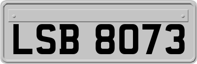 LSB8073