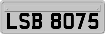 LSB8075