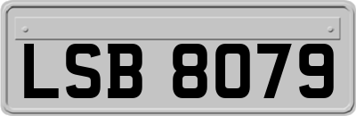 LSB8079