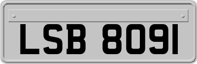 LSB8091