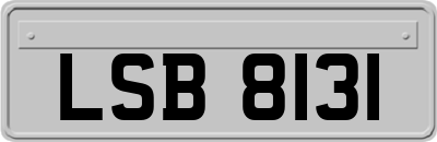 LSB8131