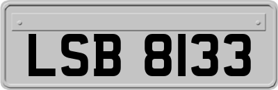 LSB8133