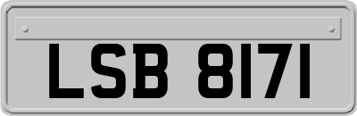 LSB8171